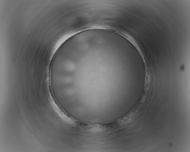 X0000116490811200912231150