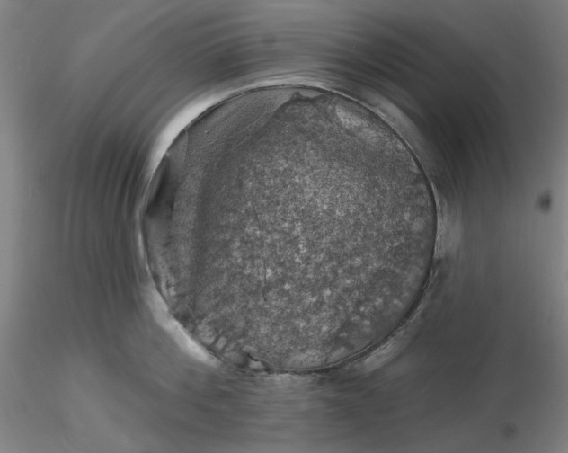 X0000116490812200912231150