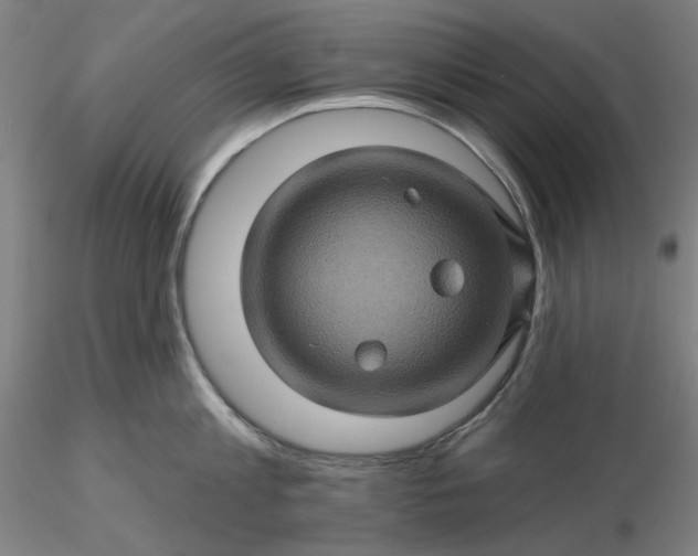 X0000116490813200912231150