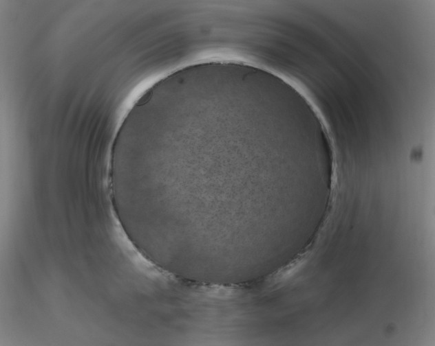 X0000116490815200912231150