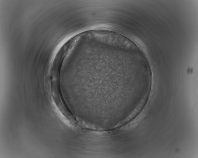 X0000116490816200912231150