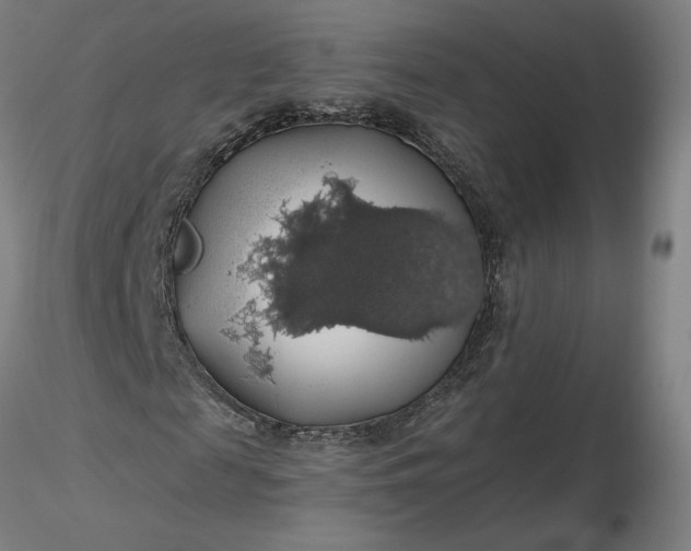 X0000116490817200912231149