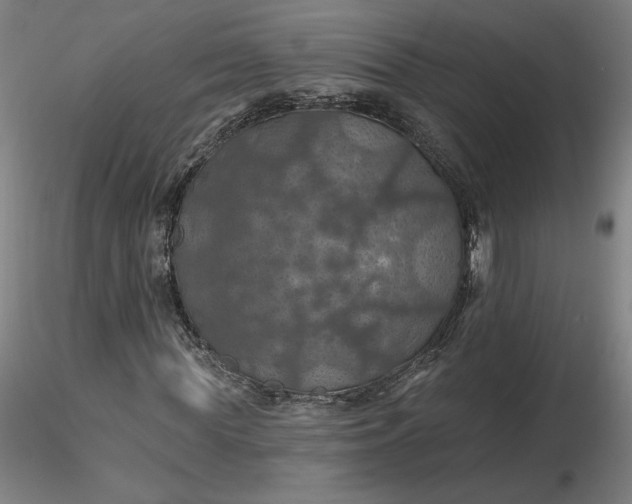 X0000116490819200912231149