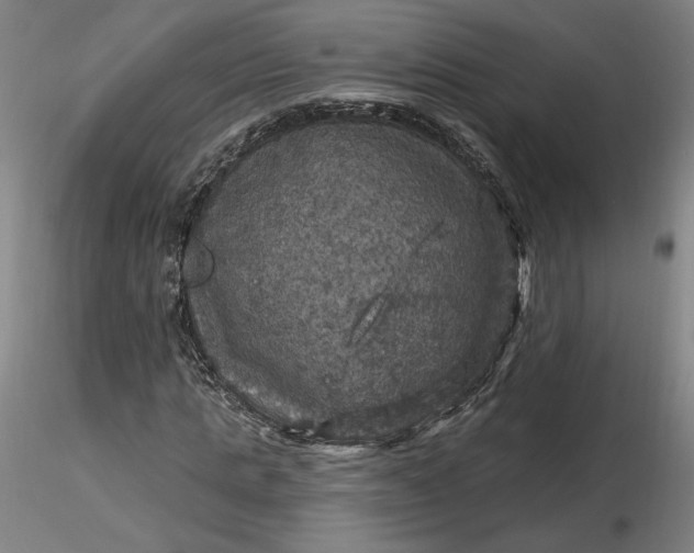 X0000116490821200912231149