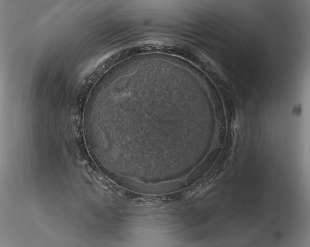 X0000116490822200912231149