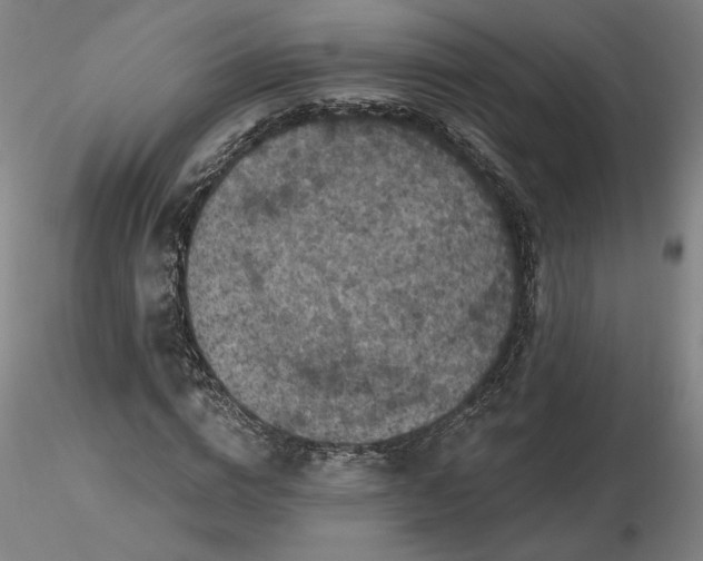 X0000116490824200912231149