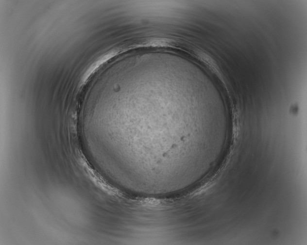 X0000116490827200912231149