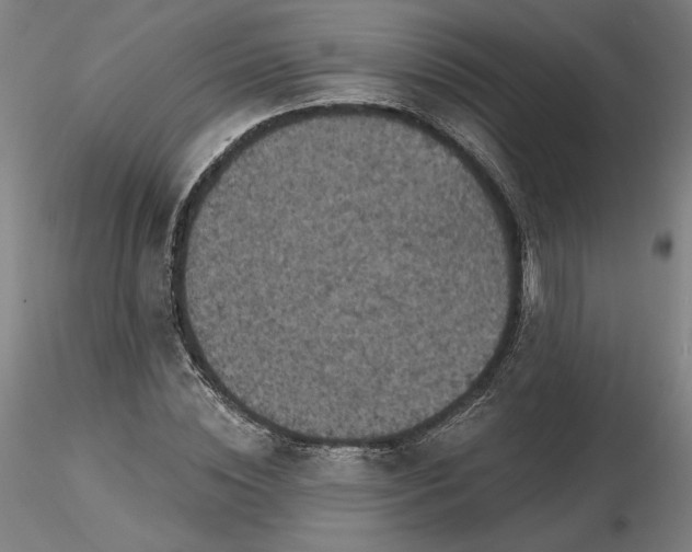 X0000116490828200912231149