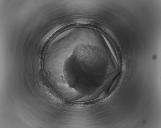 X0000116490829200912231149