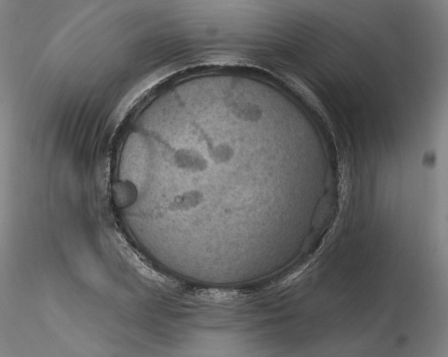 X0000116490831200912231149