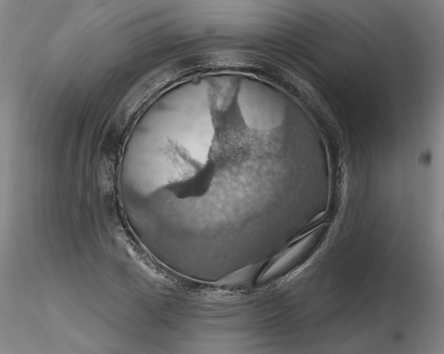 X0000116490833200912231150