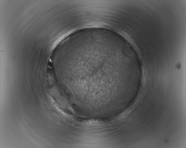 X0000116490834200912231150