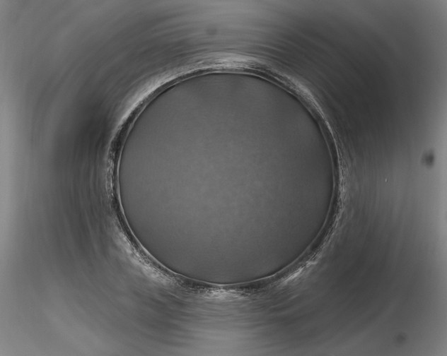 X0000116490835200912231150