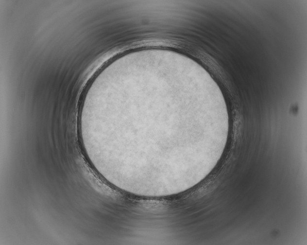 X0000116490836200912231150