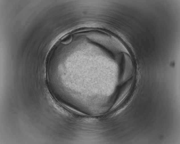 X0000116490837200912231150