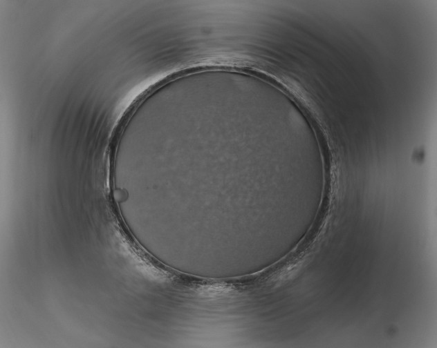 X0000116490838200912231150