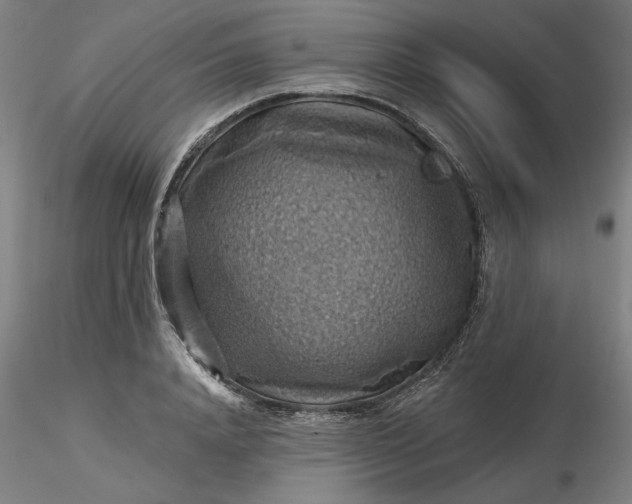 X0000116490840200912231150