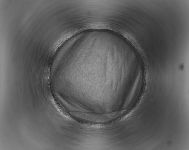 X0000116490841200912231150