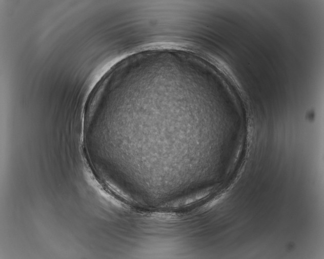 X0000116490844200912231150