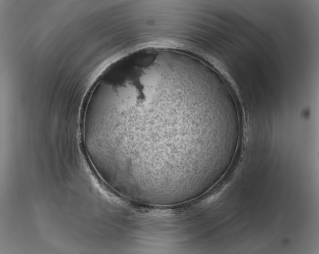 X0000116490845200912231150