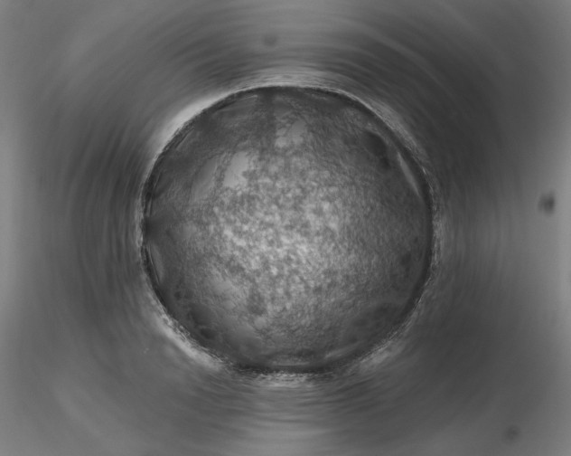 X0000116490846200912231150