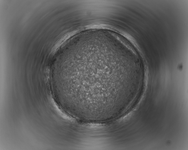 X0000116490849200912231150