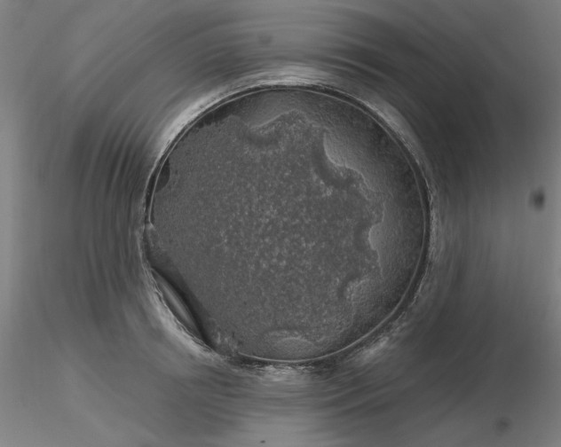 X0000116490850200912231150