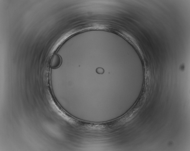 X0000116490851200912231150