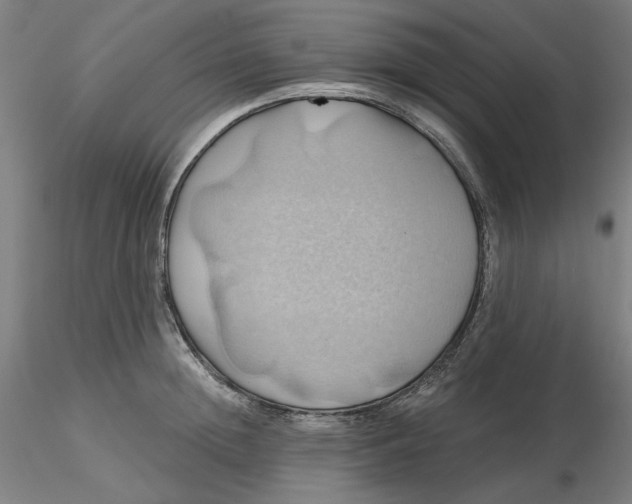 X0000116490852200912231150