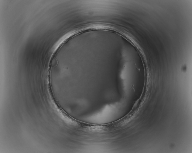 X0000116490853200912231150