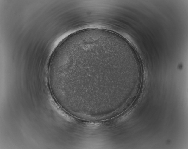 X0000116490854200912231150