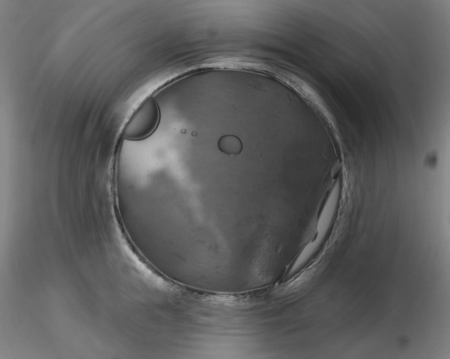 X0000116490855200912231150