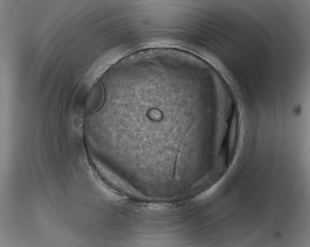 X0000116490857200912231150