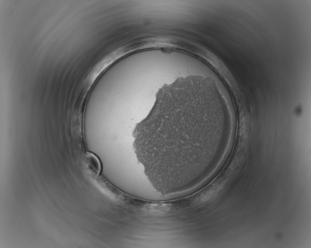 X0000116490858200912231150