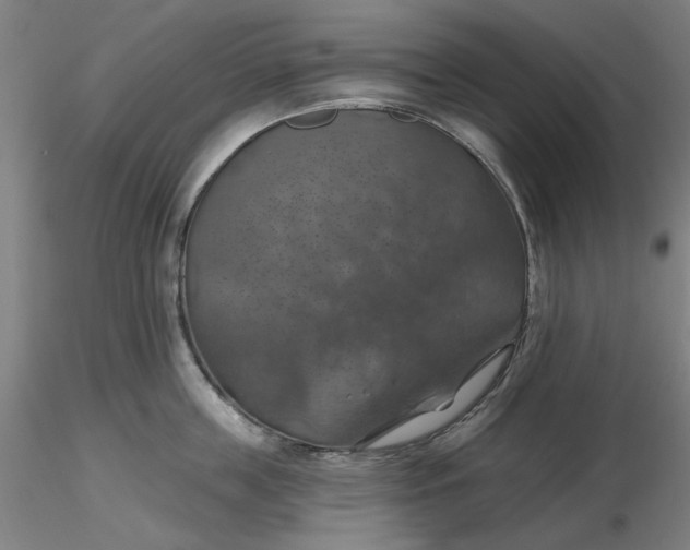 X0000116490859200912231150