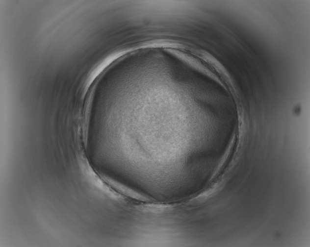 X0000116490860200912231150