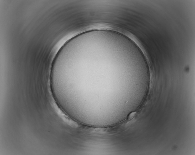 X0000116490861200912231150