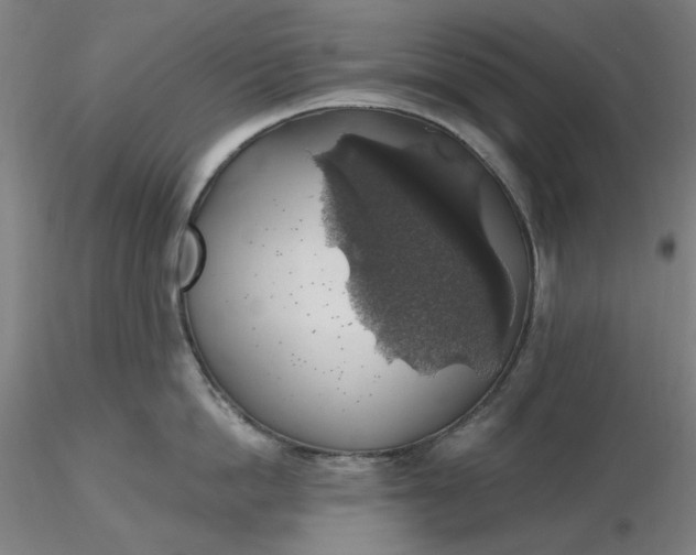 X0000116490862200912231150