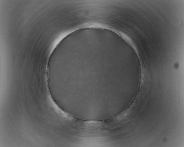 X0000116490863200912231150