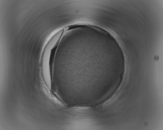 X0000116490864200912231150