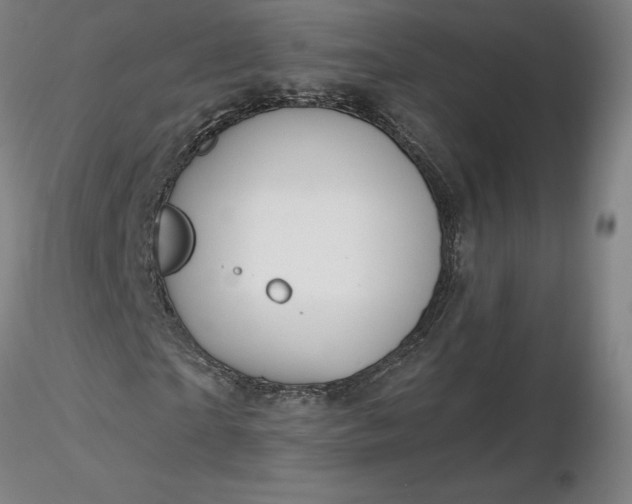 X0000116490865200912231149