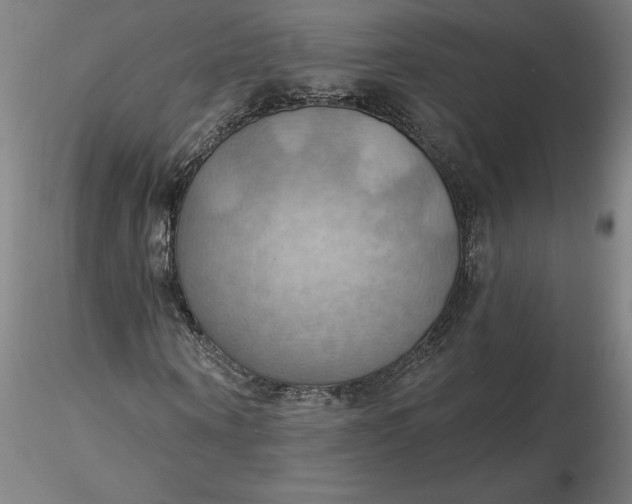 X0000116490866200912231149