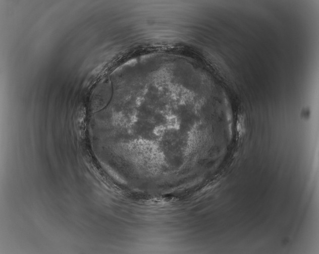 X0000116490867200912231149