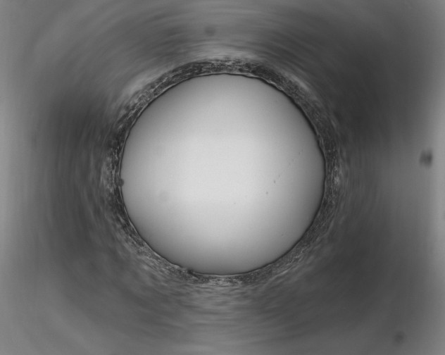 X0000116490869200912231149