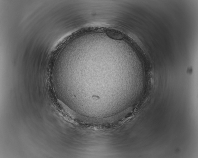 X0000116490872200912231149