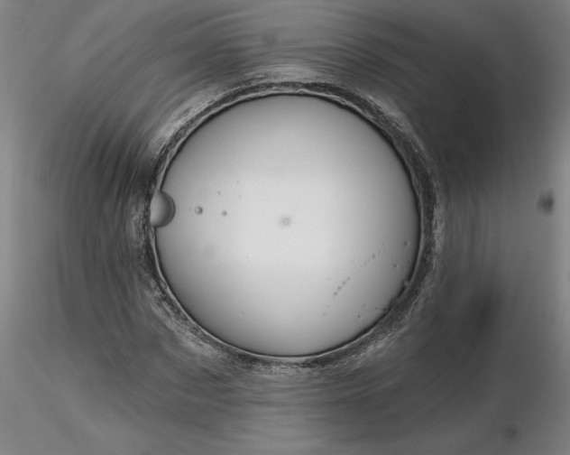 X0000116490873200912231149