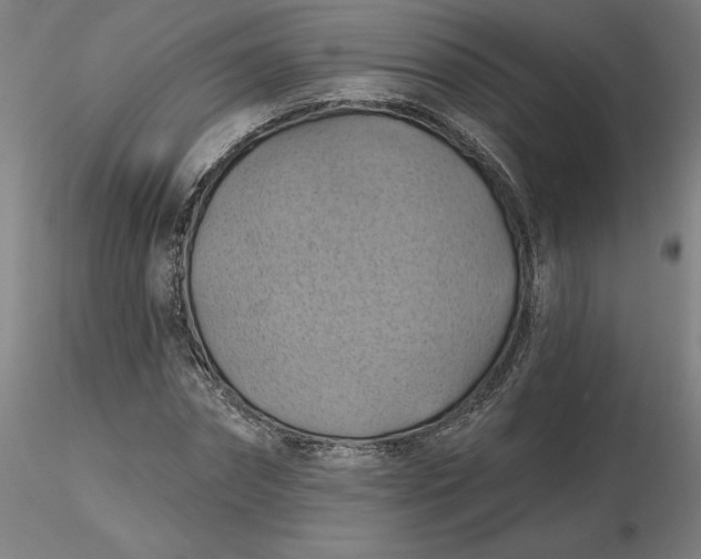 X0000116490874200912231149