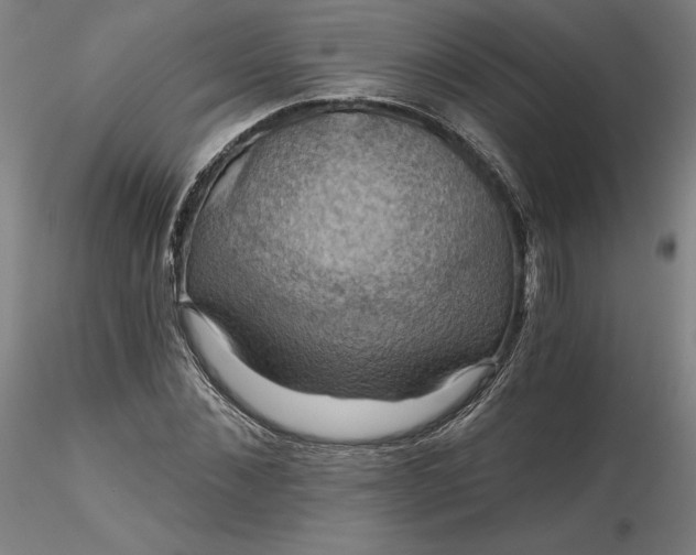 X0000116490876200912231149