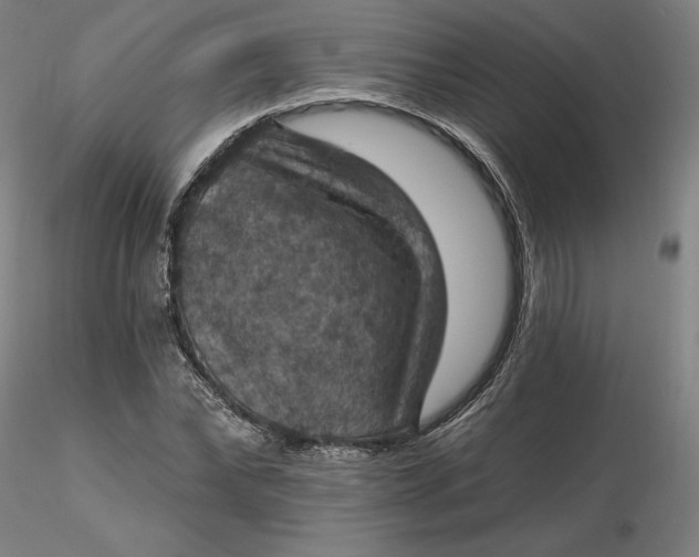 X0000116490878200912231149