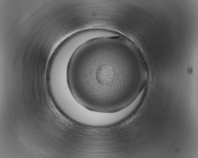 X0000116490880200912231149